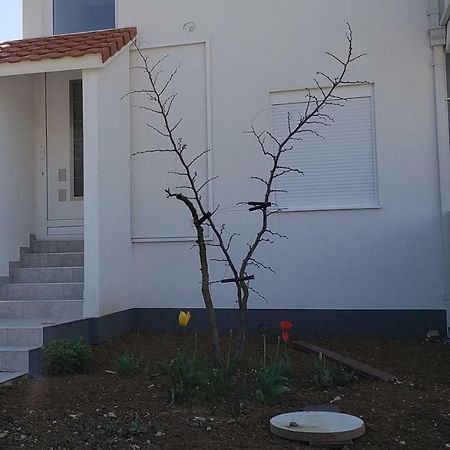 Apartmani Suncokreti - Sunflower Apartments Bar Dış mekan fotoğraf